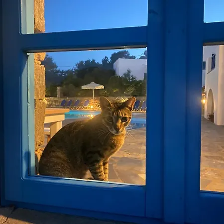 Iliopetra 3* Chrisi Akti (Paros)