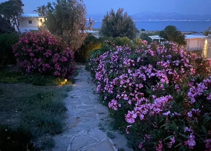 Iliopetra מלון דירות חריסי אקטי