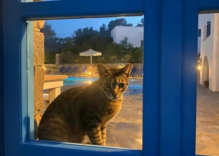 Iliopetra 3* חריסי אקטי